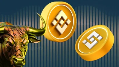 BNB Chain