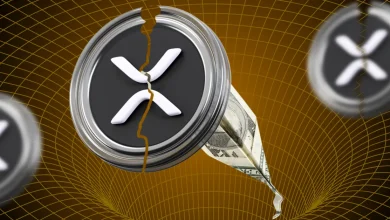 XRP News: Ripple to Launch EVM-Compatible Sidechain by Q2 2025