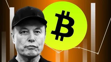 Elon Musk Slammed by Trump, Tesla Stock Drop – Samson Mow Says ‘Buy Bitcoin’